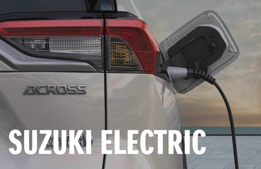 Suzuki Electric