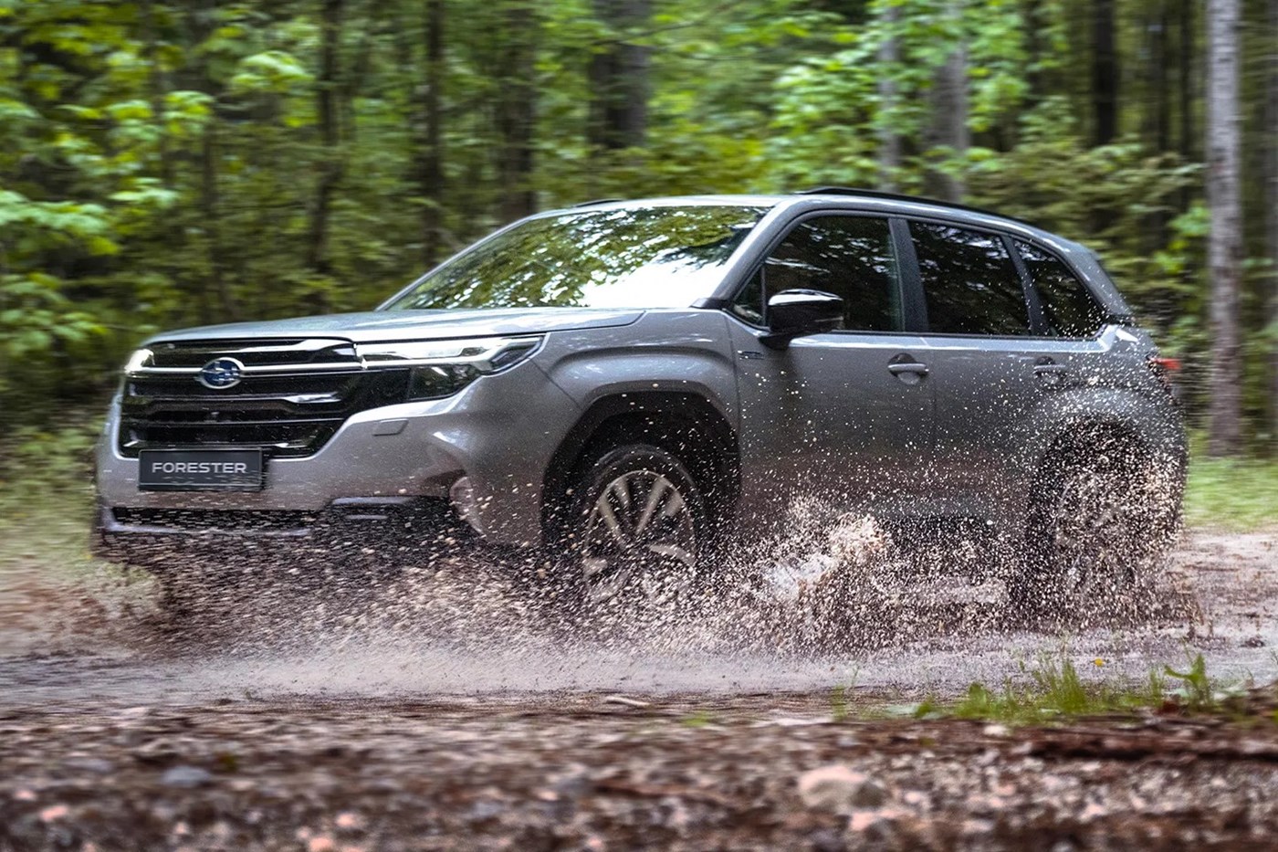 Available Now at Simpsons Subaru! The All-New Forester