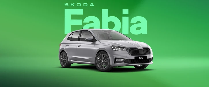 Grey SKODA Fabia Exterior
