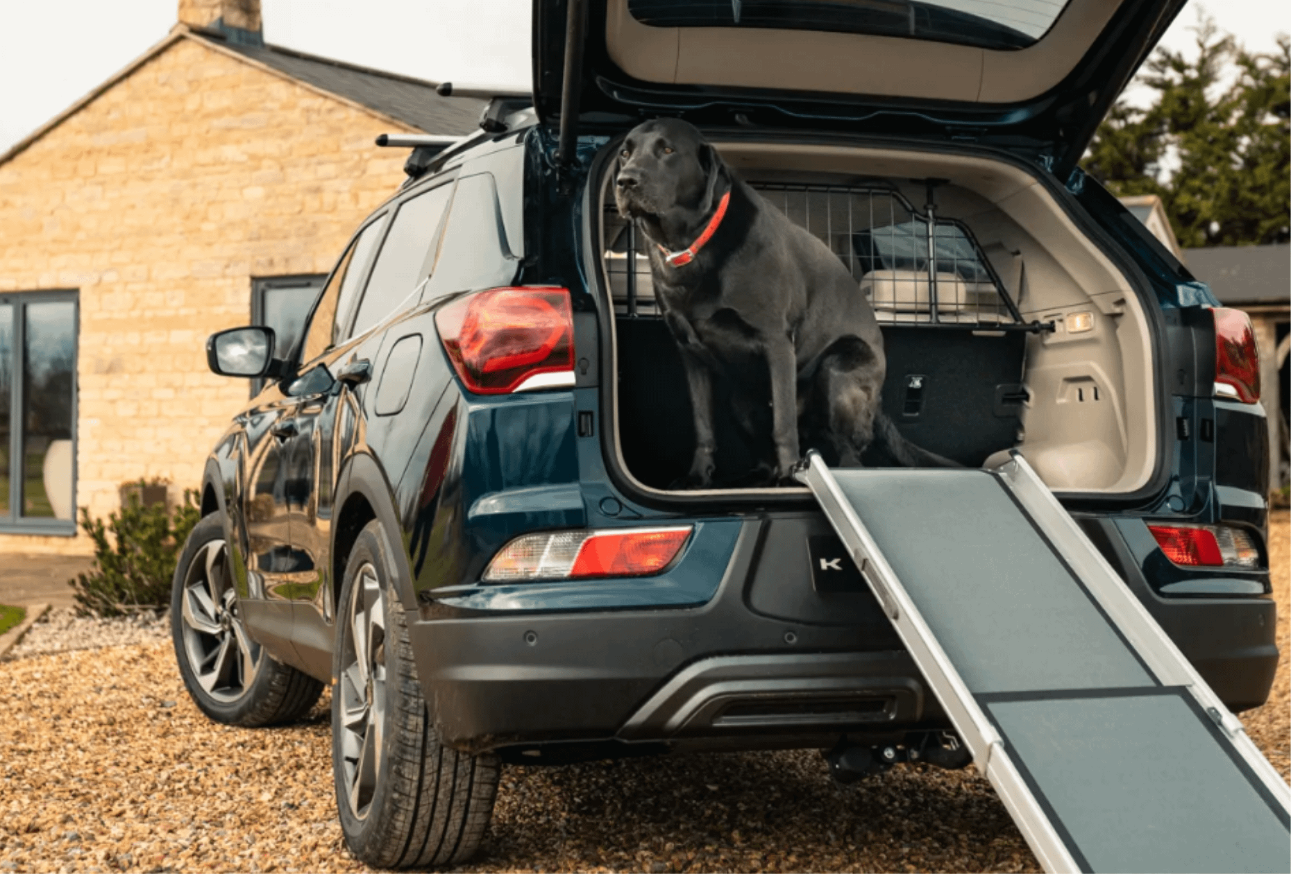KGM Dog accessories