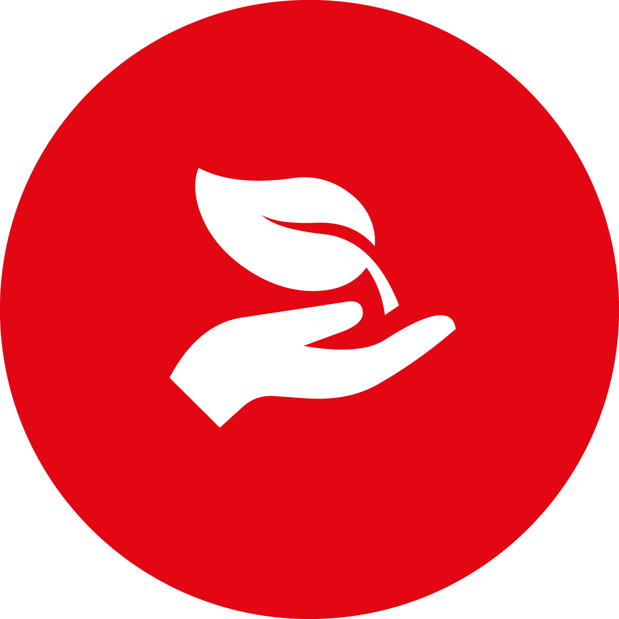 Electric zero emissions icon