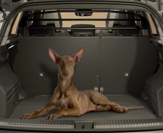 Austral boot with dog