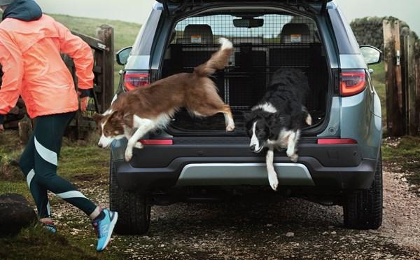 5 Reasons Why Jaguar Land Rover Is A Dog’s Best Friend