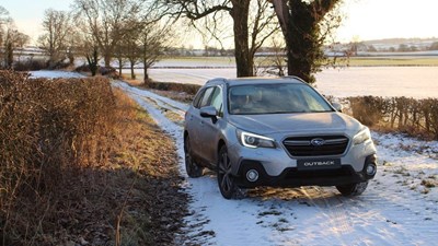 The Outback had a little lamb