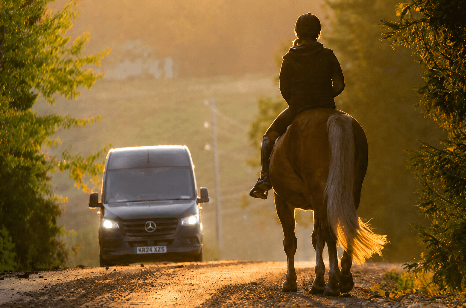 Horses Detect Near-Silent Electric Vehicles, Study Finds