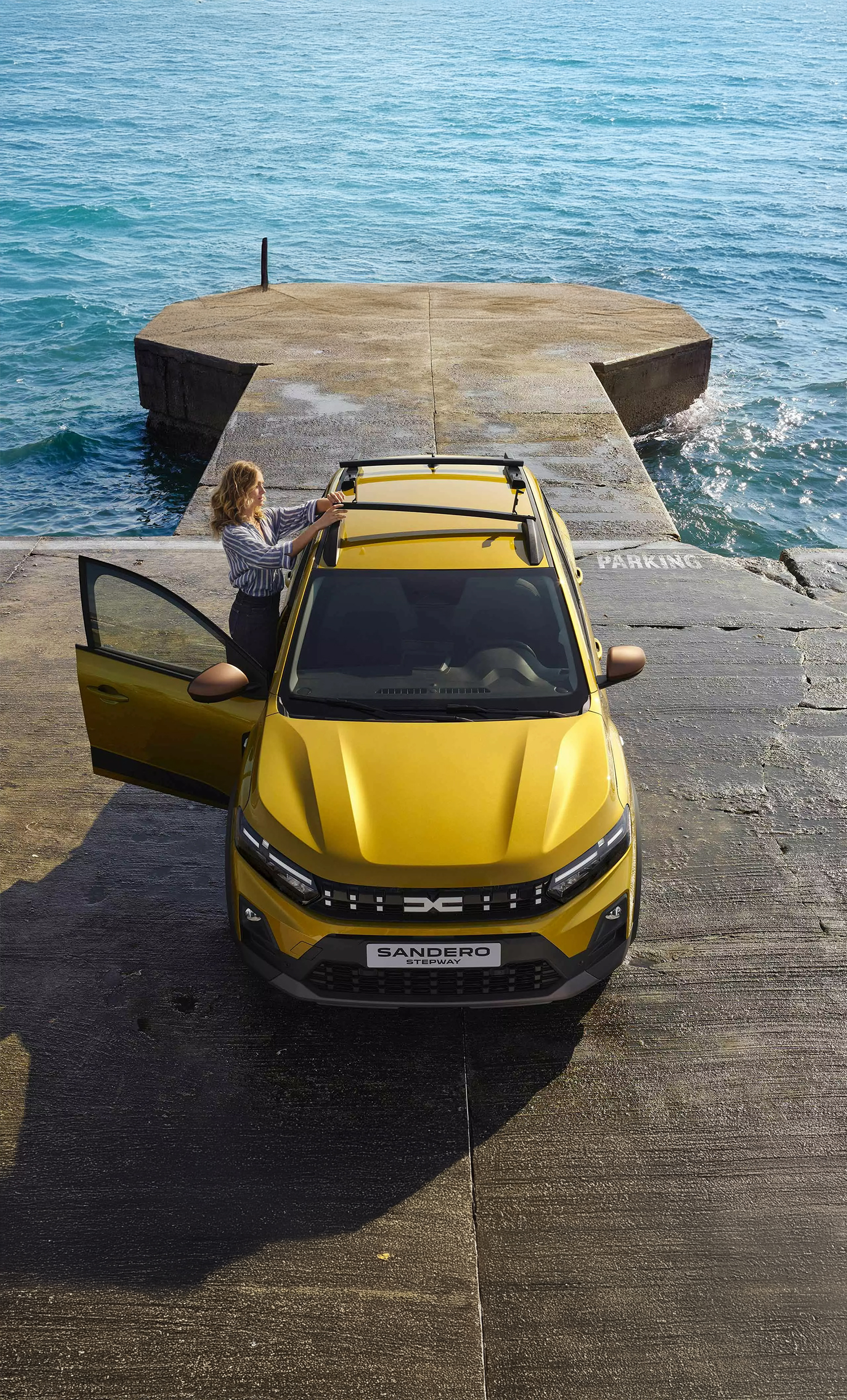new sandero stepway_