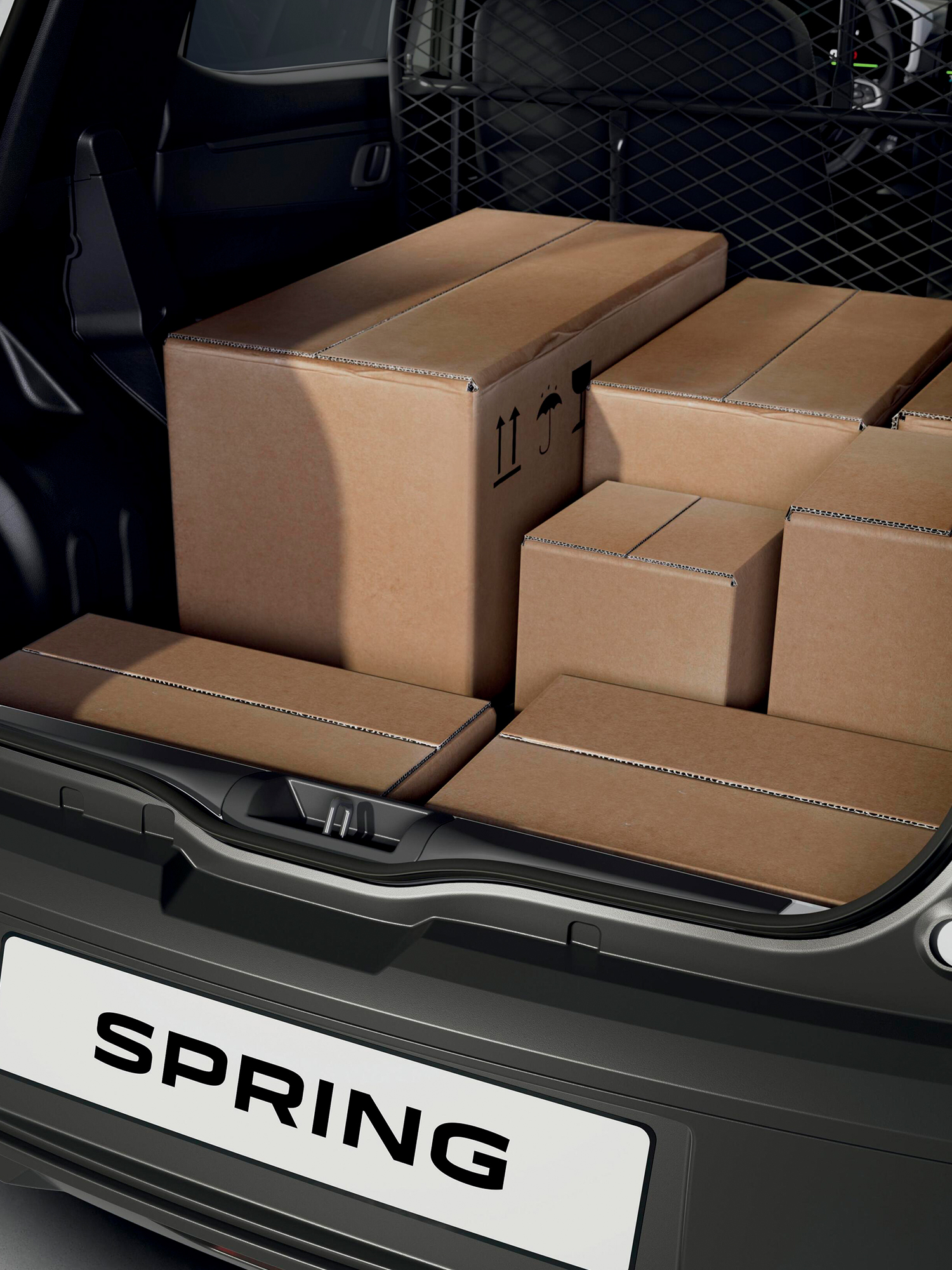 Dacia Spring Cargo