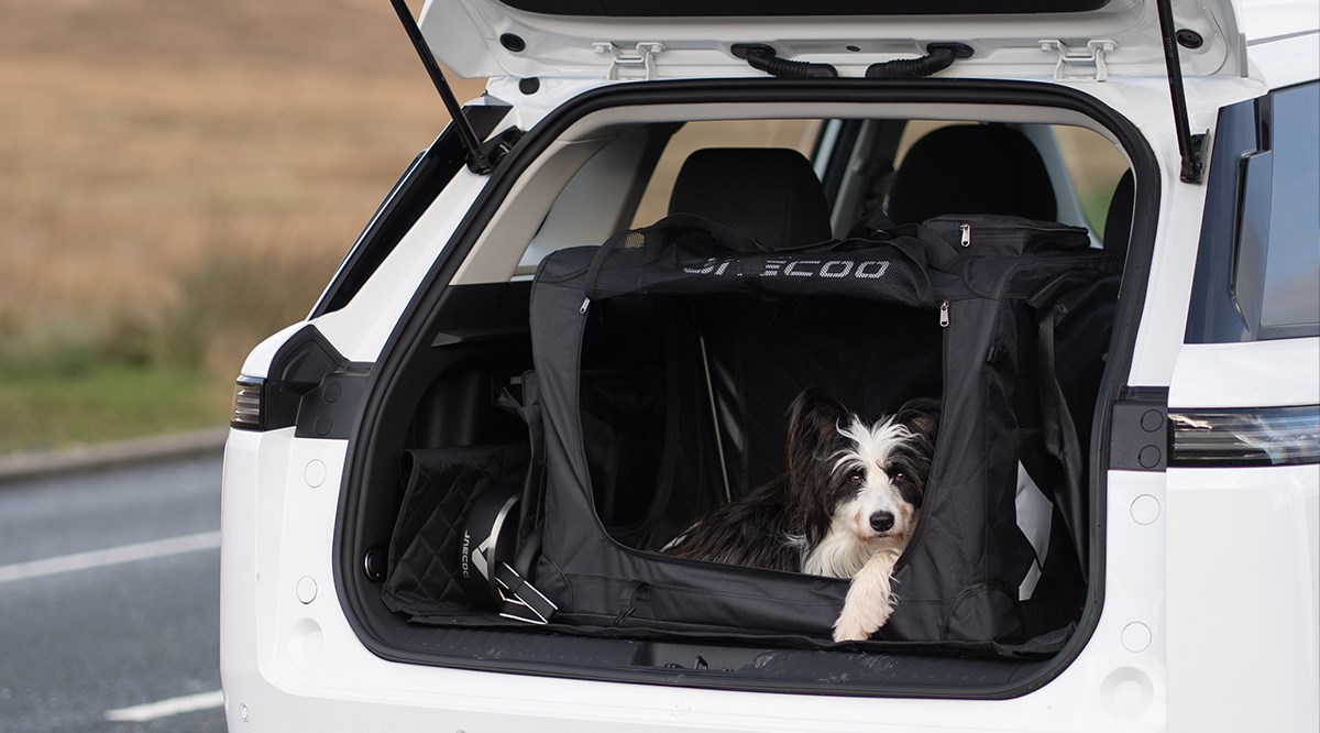 Jaecoo E5 Electric