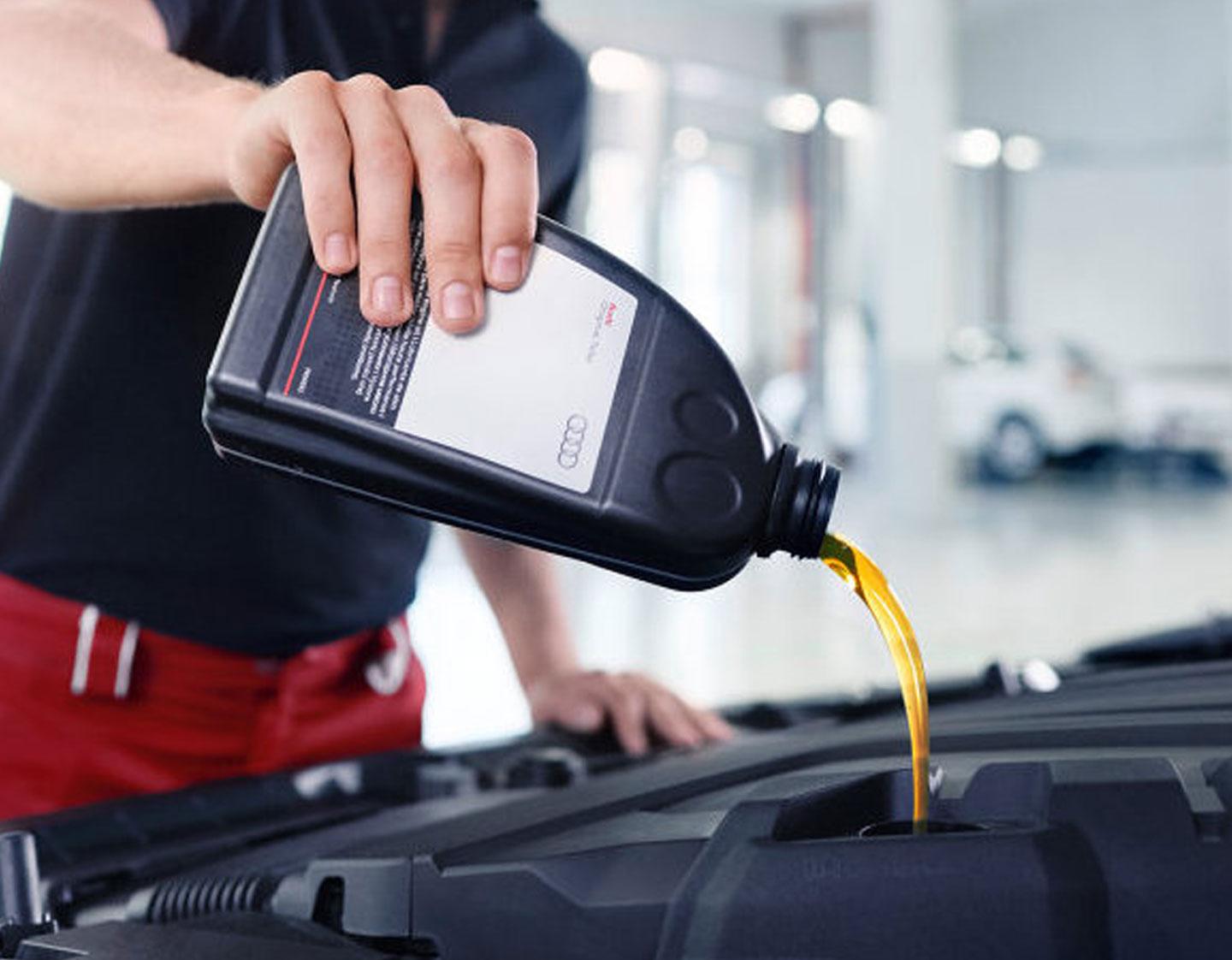 Audi Oil Change