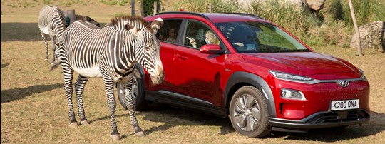 Hyundai offers safari experience at Chessington World of Adventures