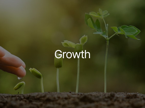 Underwoods Values Growth