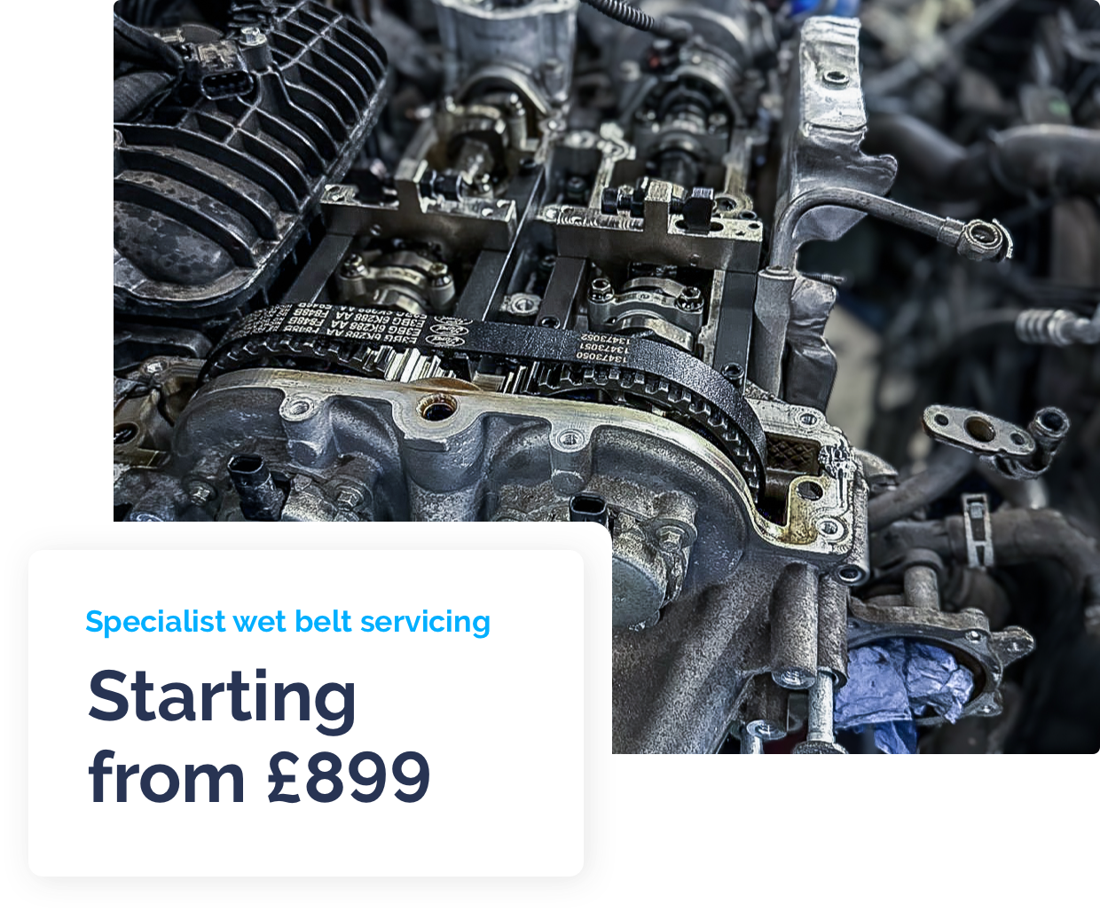 Specialist wet belt servicing starting from £899