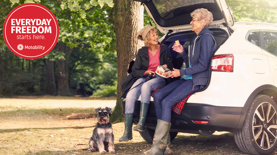 Ladies with a dog having a picnic in the boot of their motability car