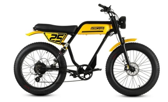 Trionfale 500W High Power eBike