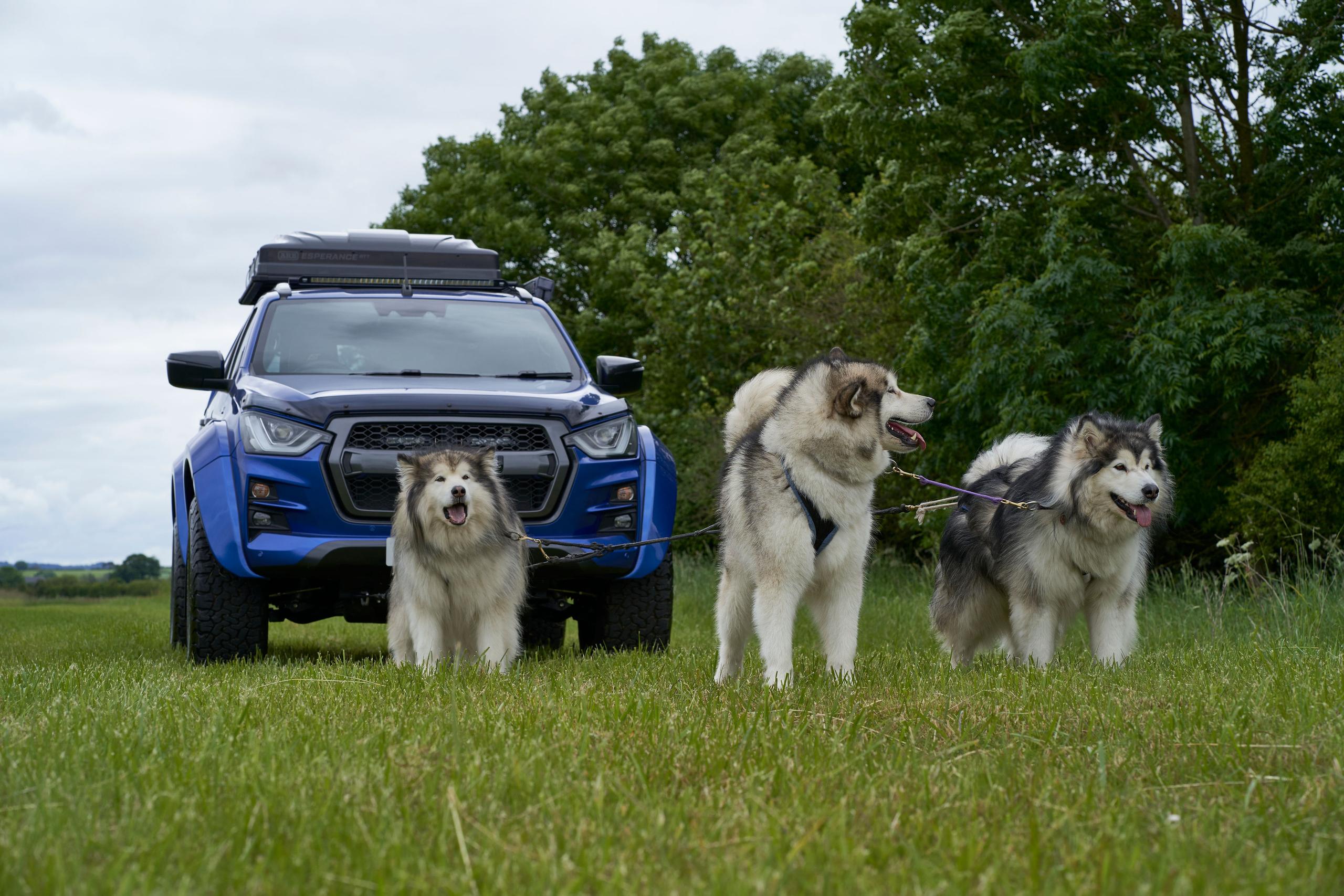 Sleddog Dryland World Championship Isuzu