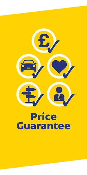 Drive Now, Pay Later