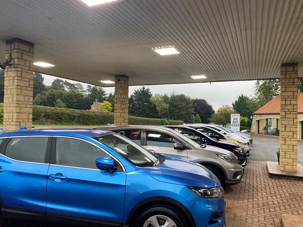 Hodgsons Canopy Lights