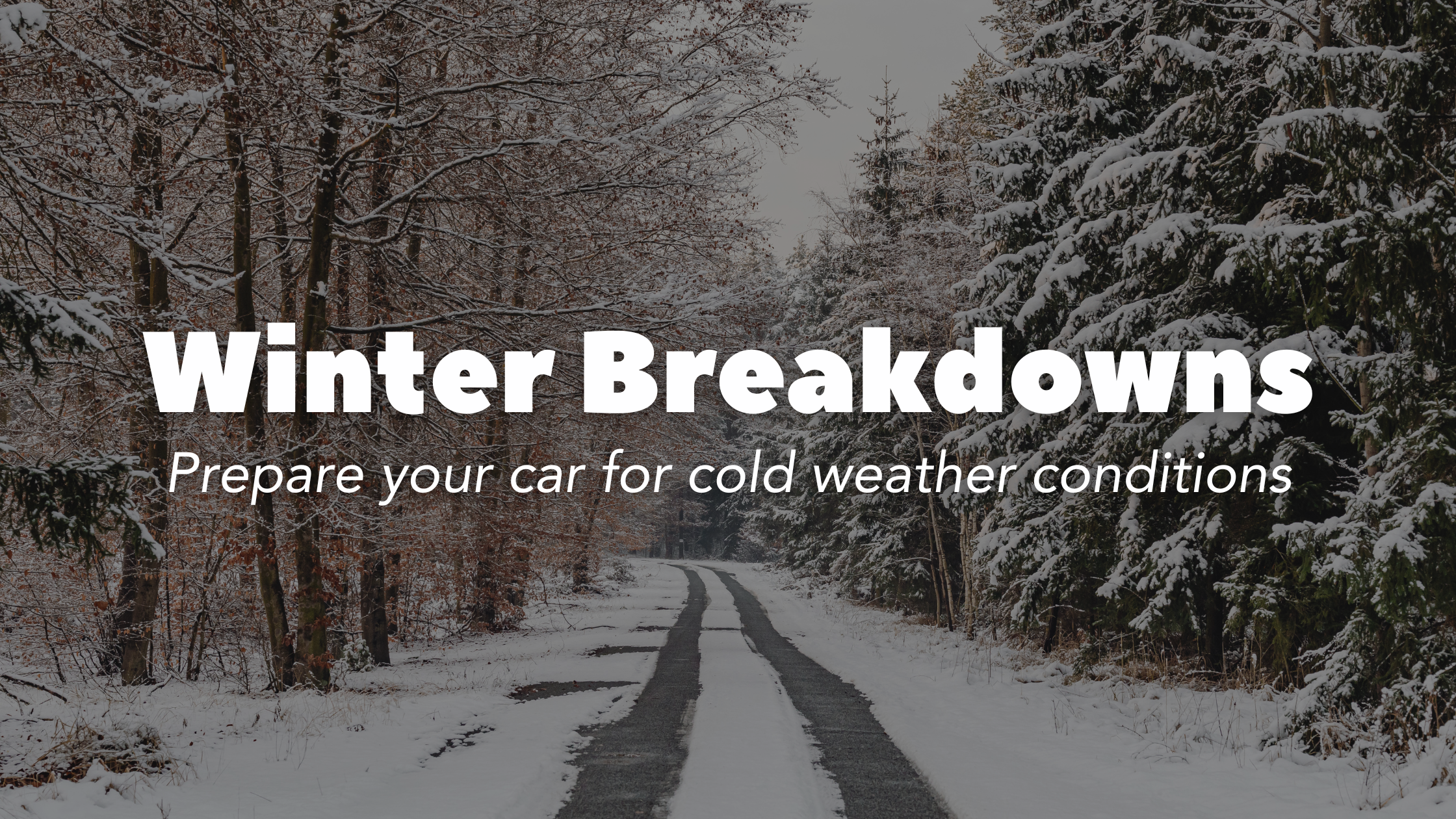 Preventing a Winter Breakdown