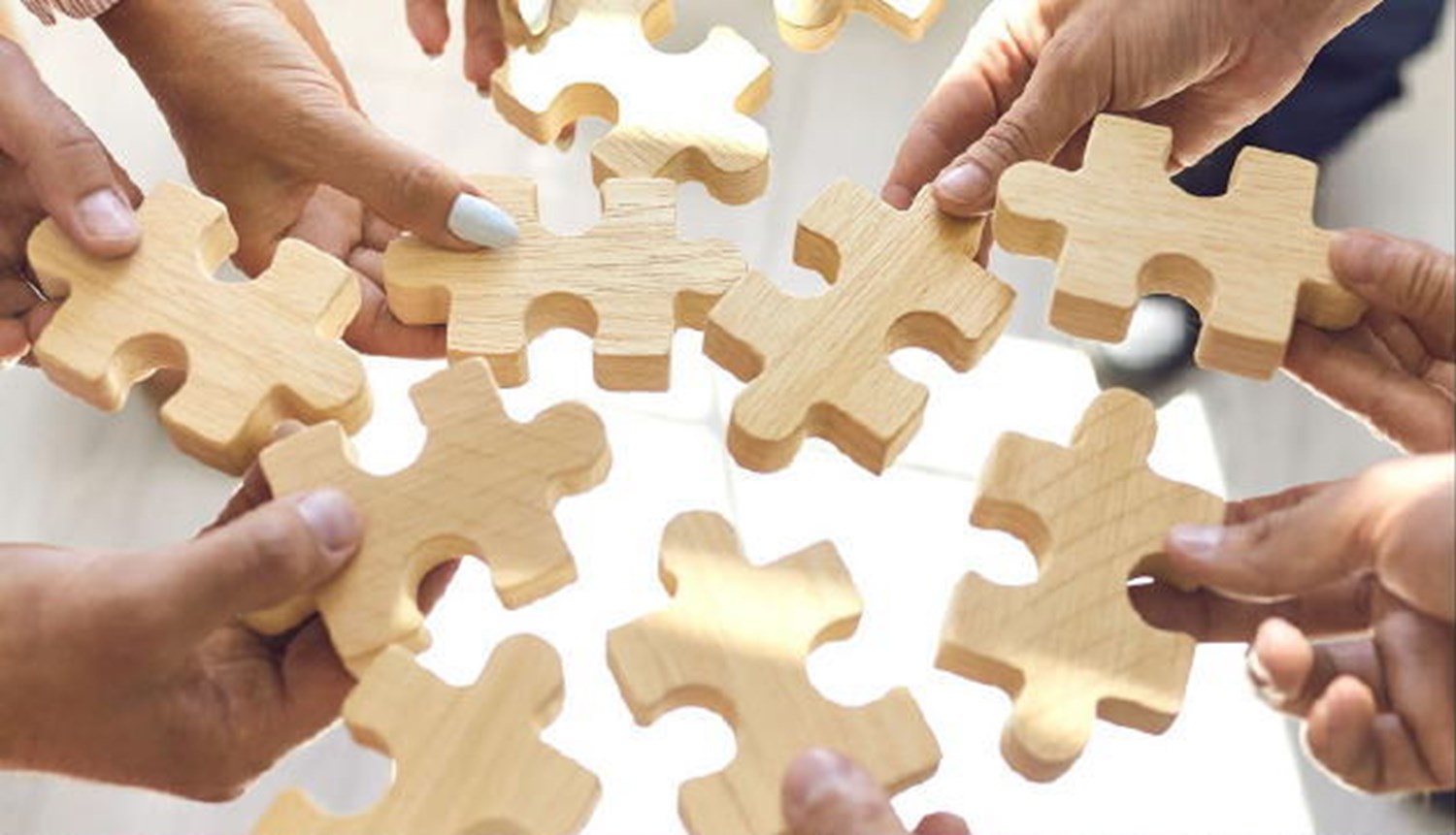 Puzzle Pieces