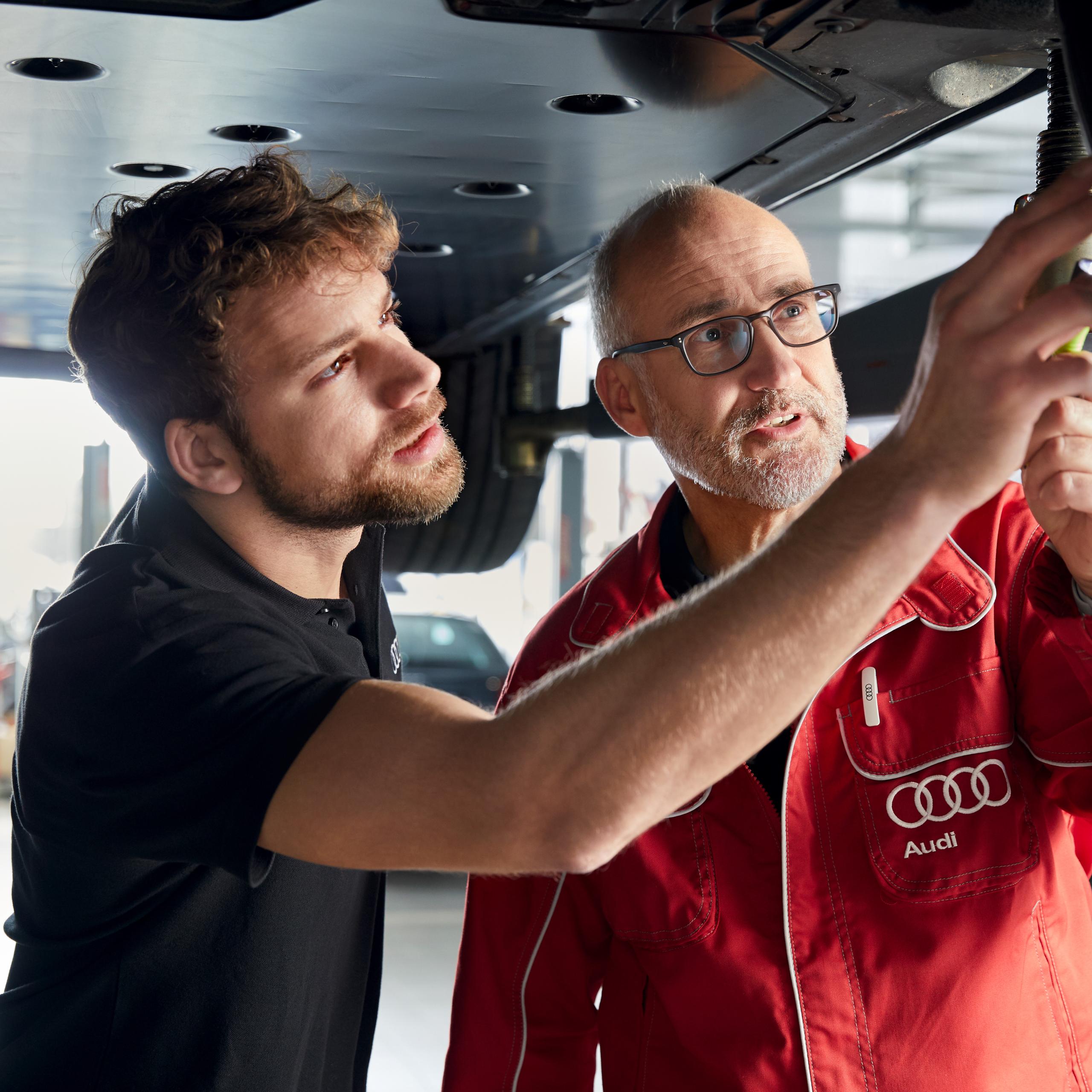 Audi Health Check