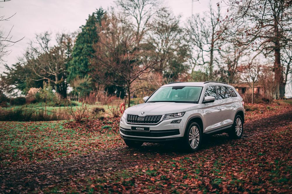 White Skoda Kodiaq in a forest setting