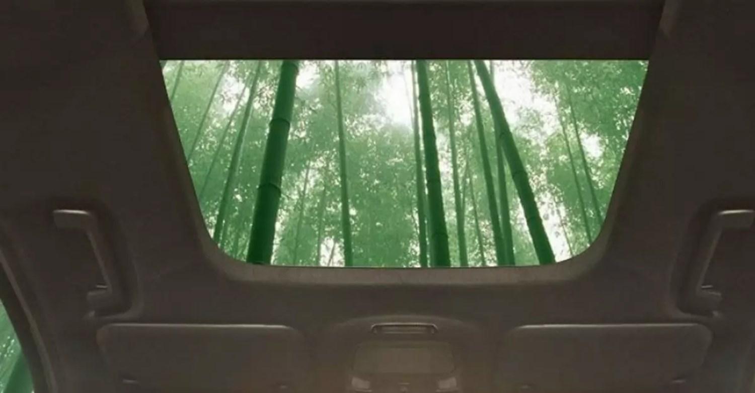 Bamboo panoramic car roof