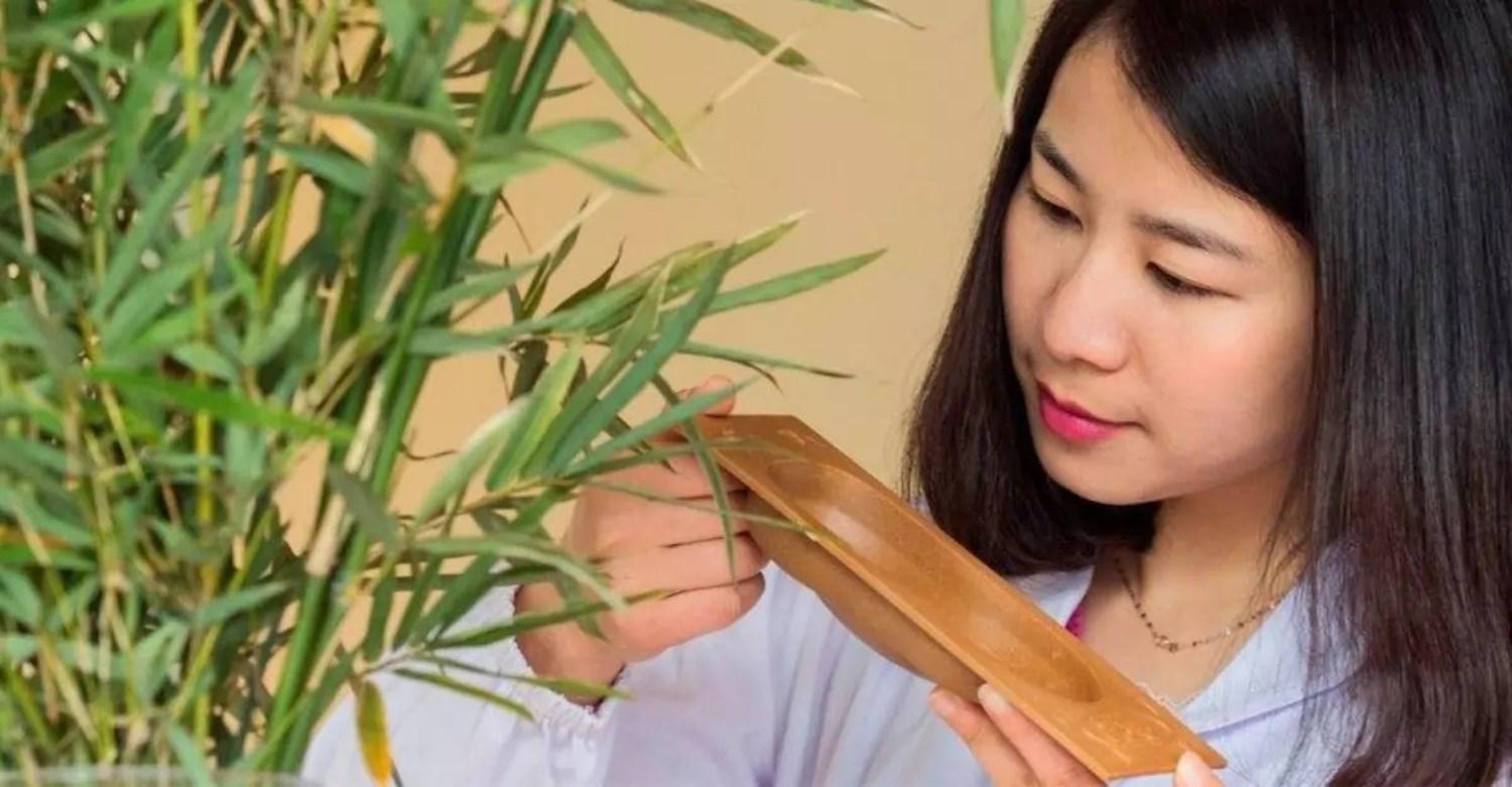 Lady looking at bamboo plants