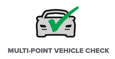 Multi-Point Vehicle Check
