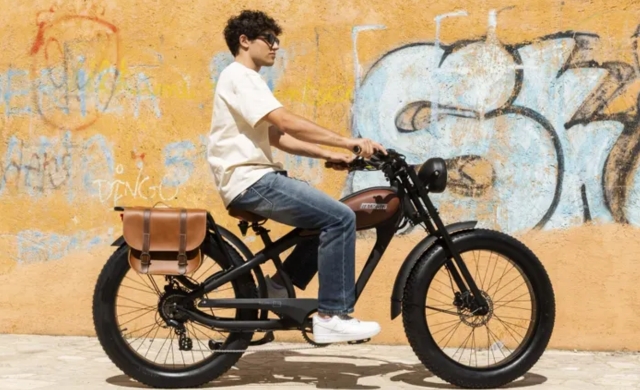 Tiquattro 250W pedal Assist Cruiser