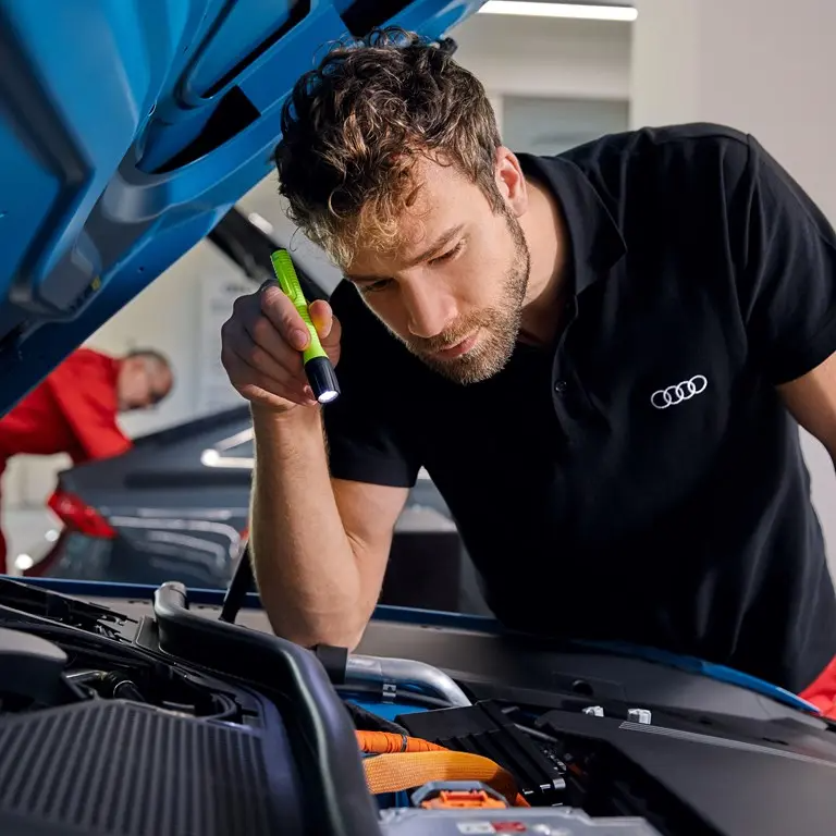 Audi Aftersales