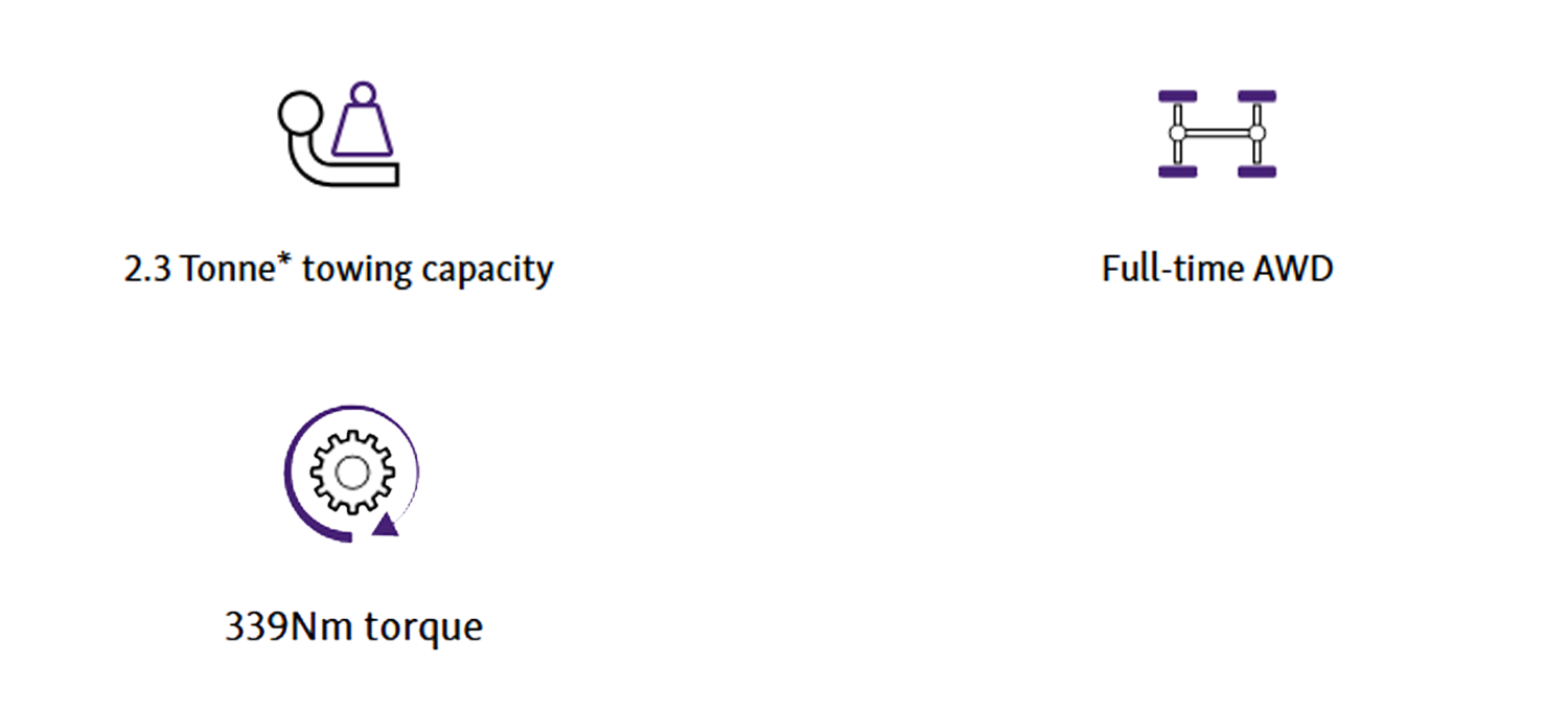 symbols of features on Musso ev