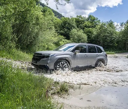 All-New Subaru Forester by the forest