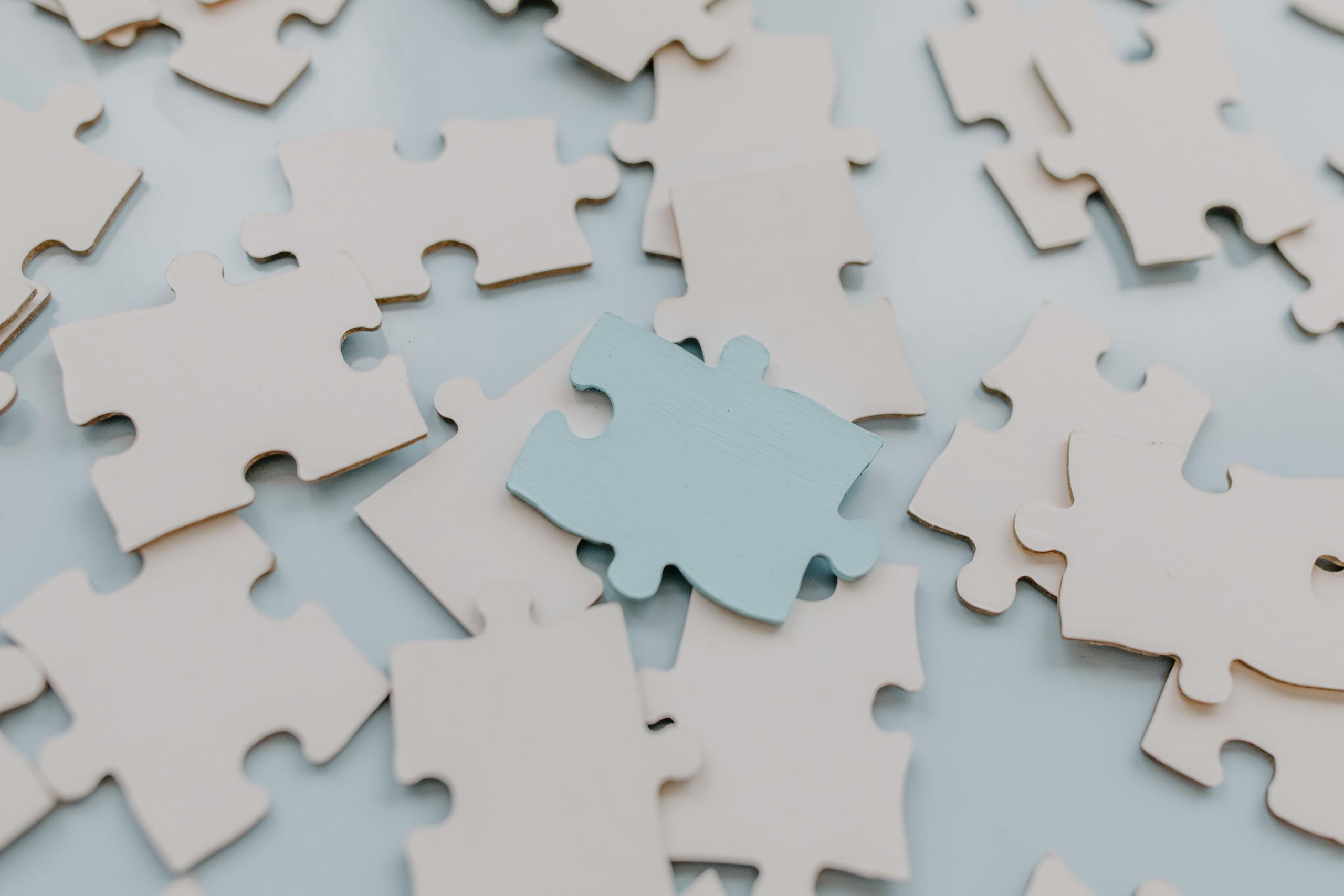Jigsaw Pieces 