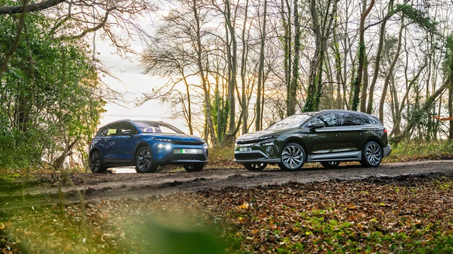 Two SKODA Vehicles in the woods