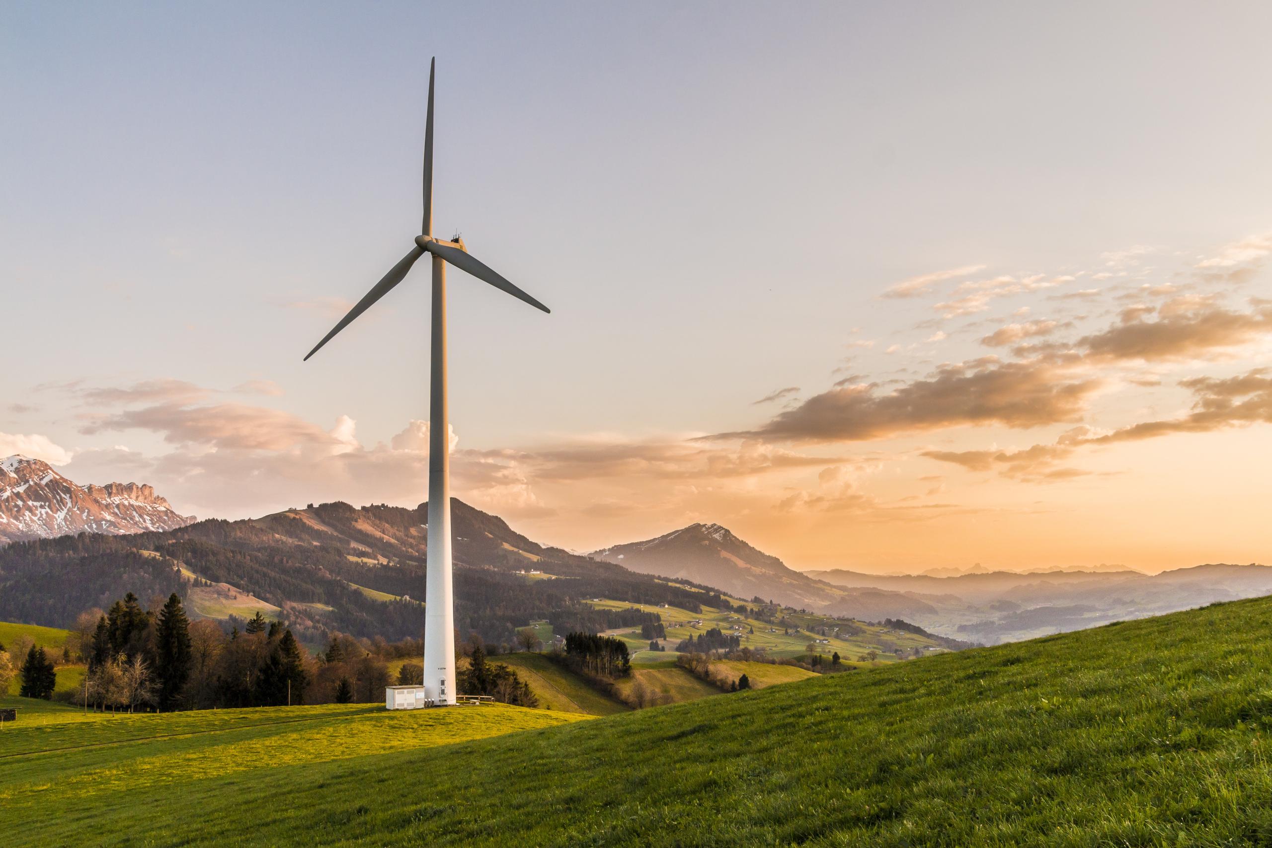 Scenic fields with wind turbine