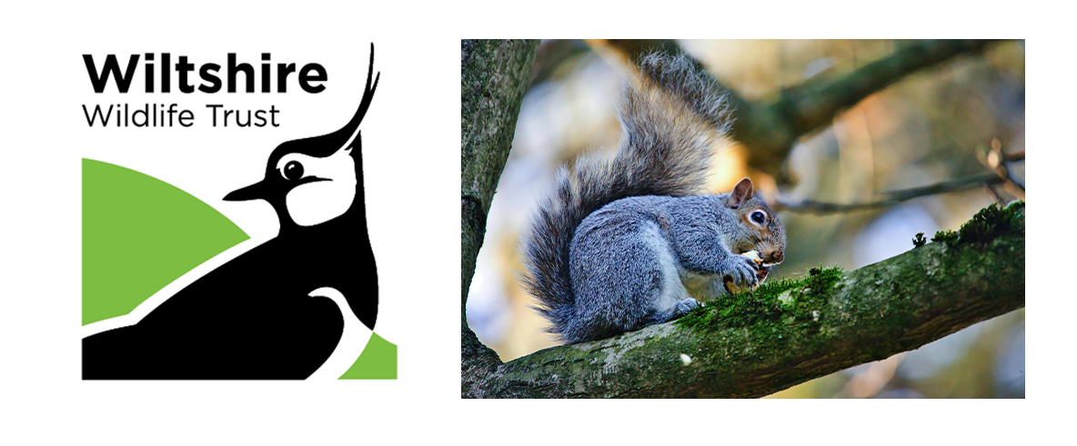 wildlife