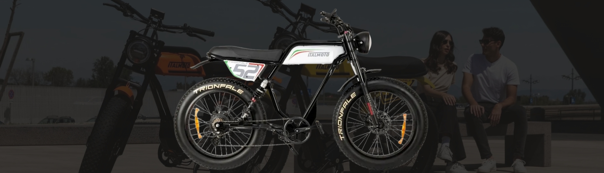 _cogCmsNewBikeModel.Title