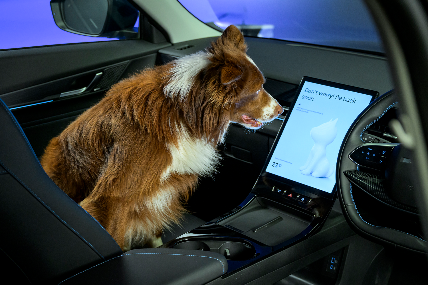 Dog sat on front passenger seat of JAECOO 5 staring at the media screen
