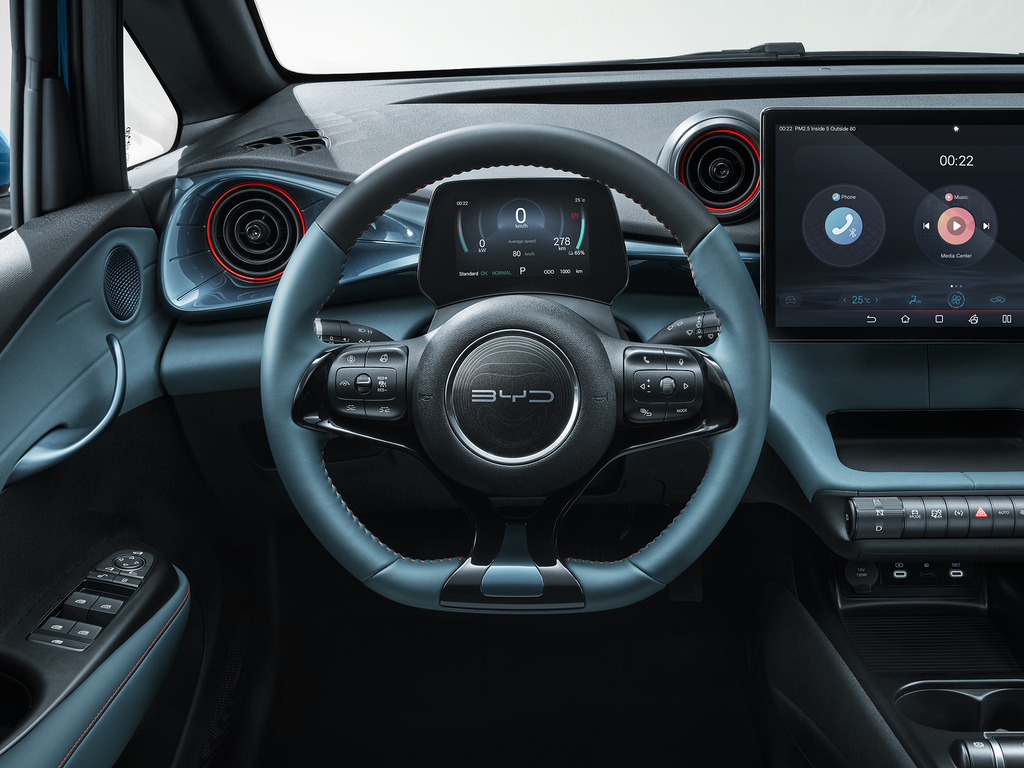 BYD Dolphin Steering Wheel