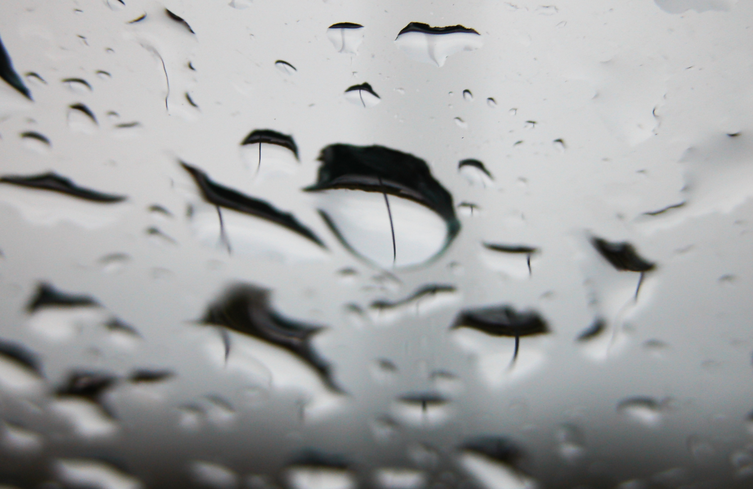 Water drops