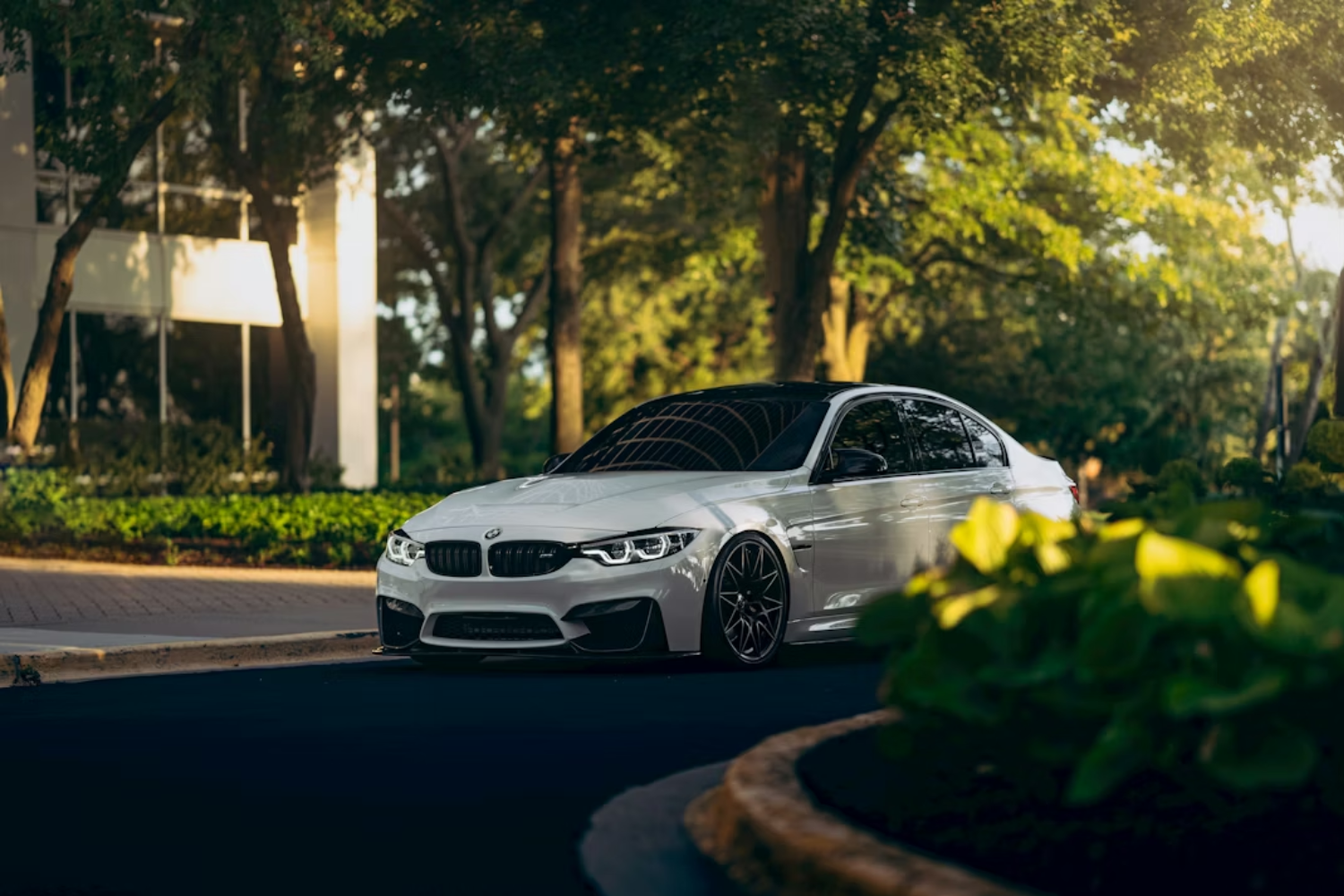 White BMW performance saloon parked on leafy street.