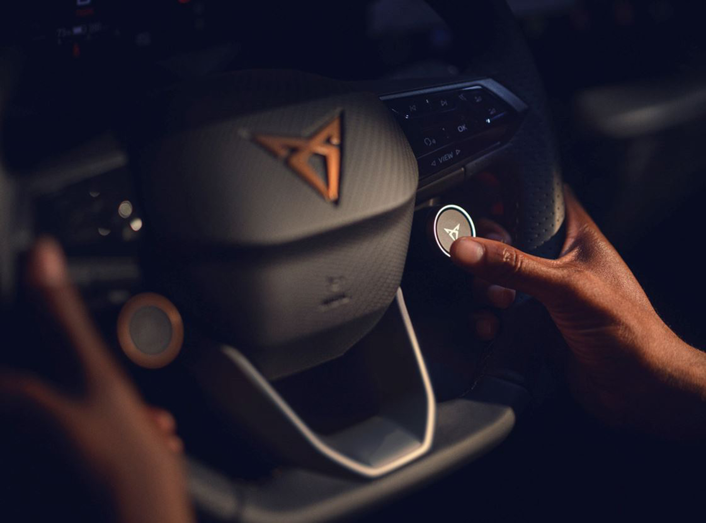 CUPRA Steering Wheel
