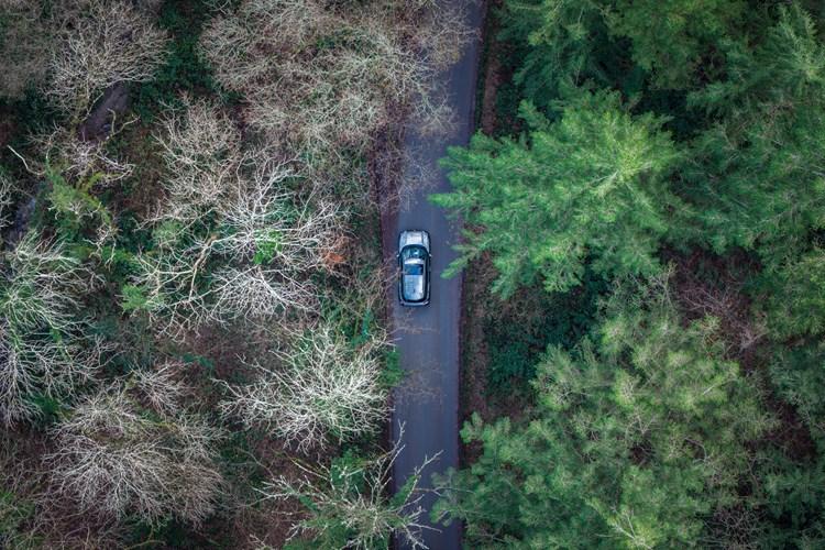 THE ALL-NEW SUZUKI e VITARA