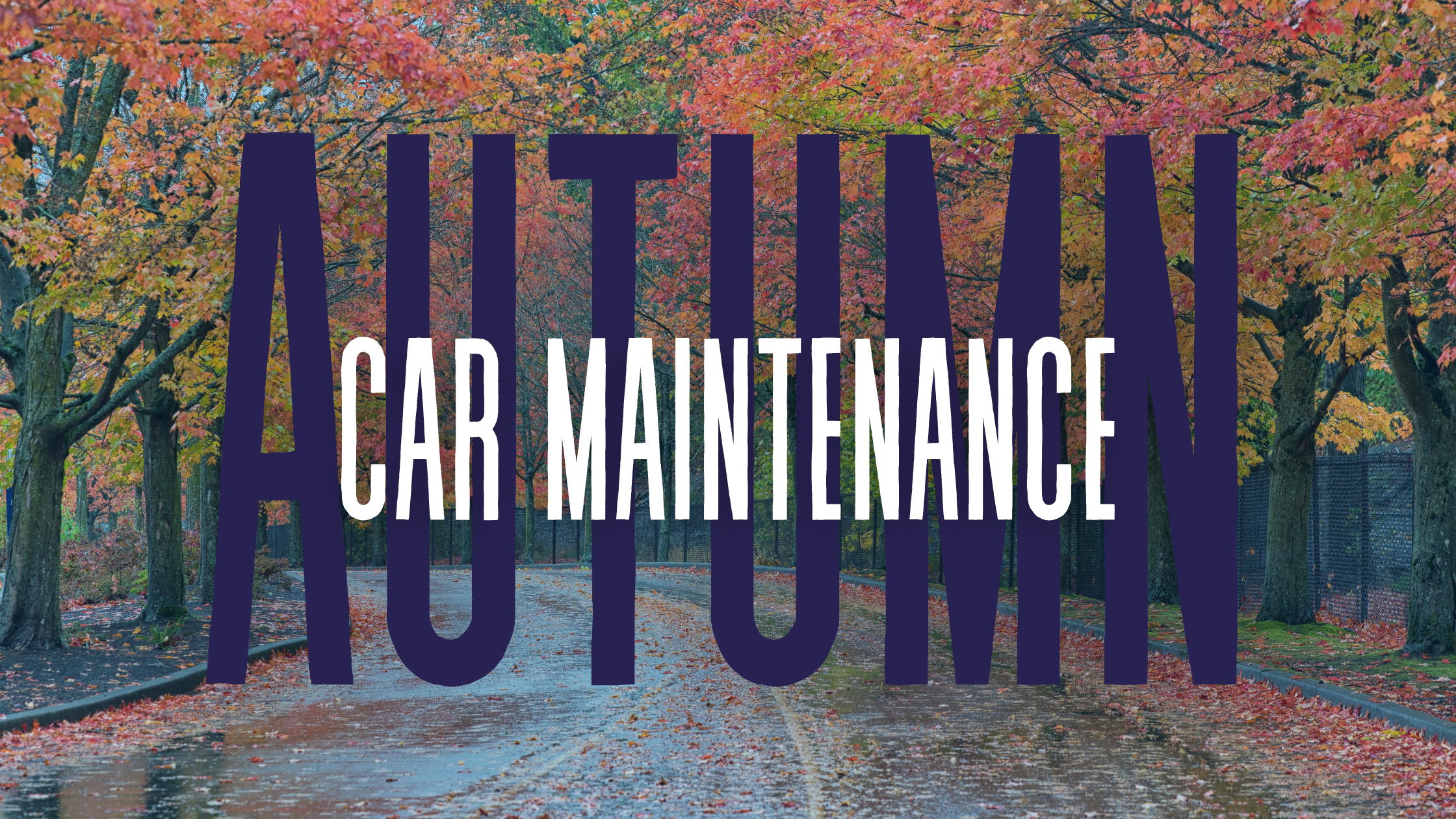 Top Tips for Autumn Car Maintenance