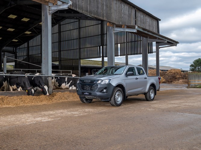 D Max Utility
