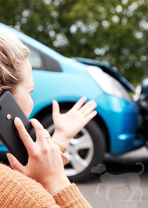 Accident & Repair