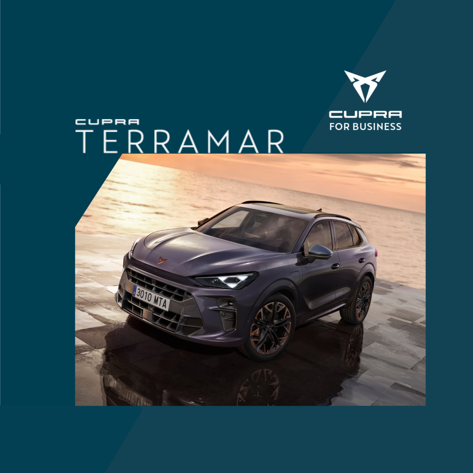 CUPRA Terramar Exterior