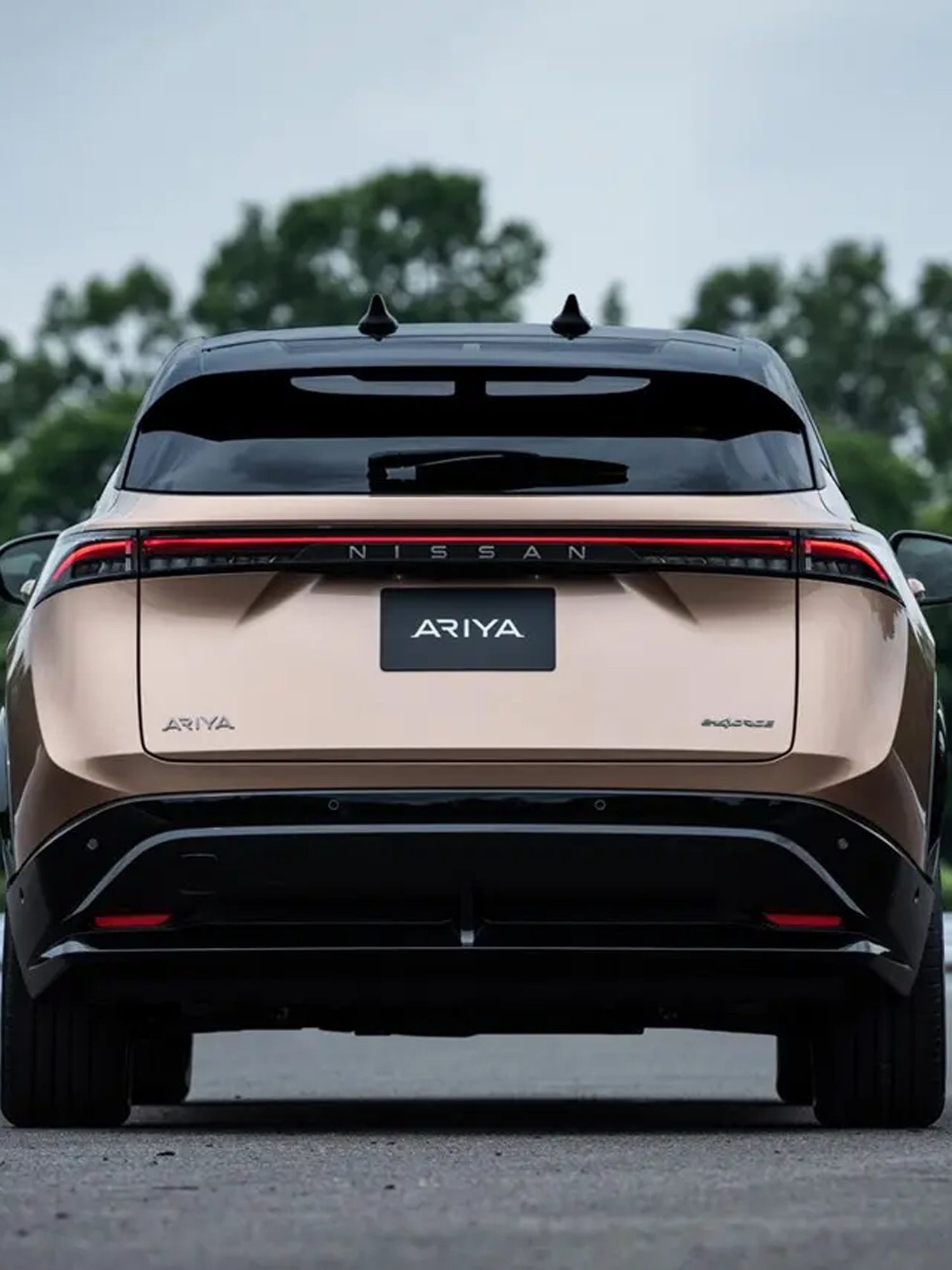 The back of a Nissan Ariya