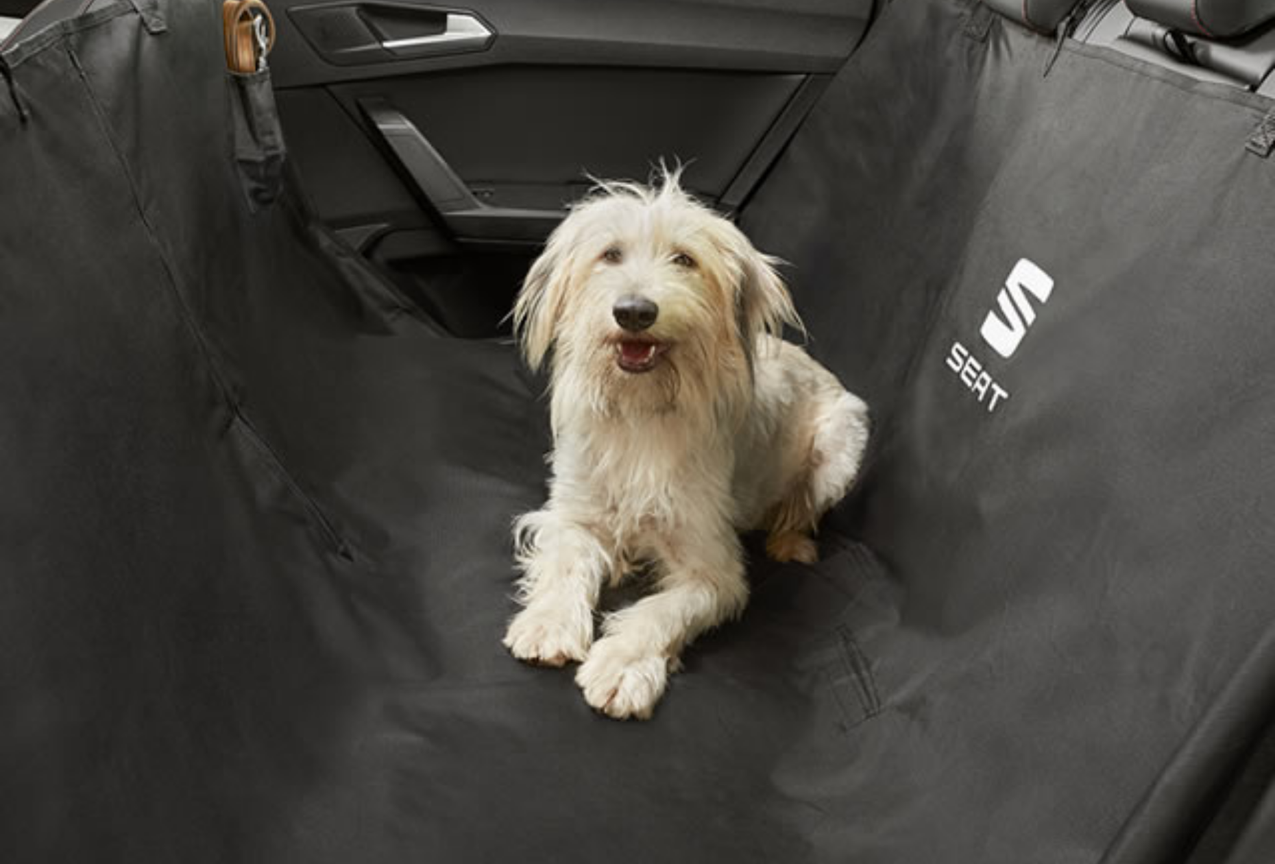 Dog in the back seat of a car lying down on a SEAT car seat cover