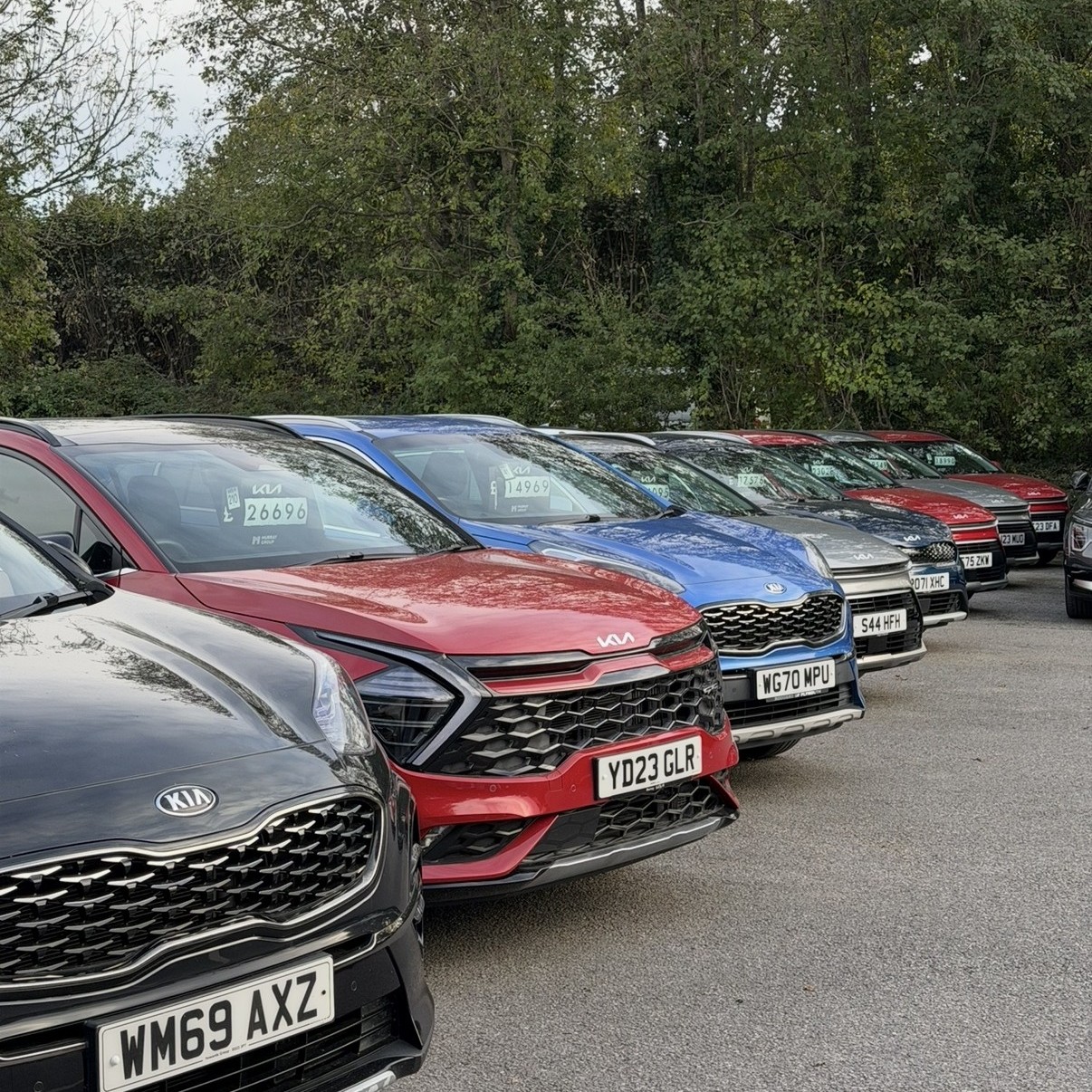 Used Cars